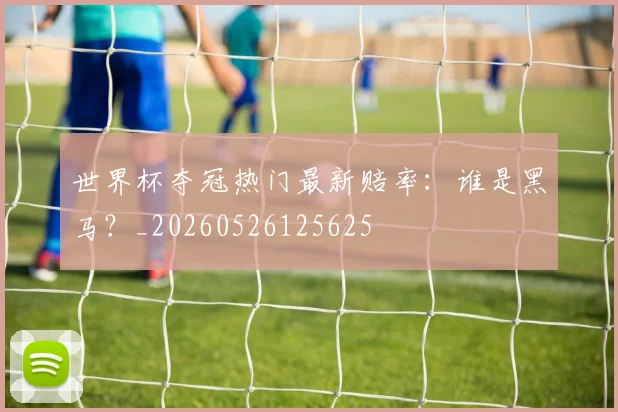 世界杯夺冠热门最新赔率：谁是黑马？_20260526125625